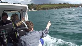 The second group takes the small Passenger Ferry from Helford to Helford Passage, a distance of around 0.4 miles